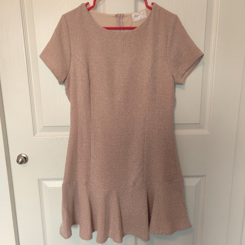 NWT Blush tweed dress